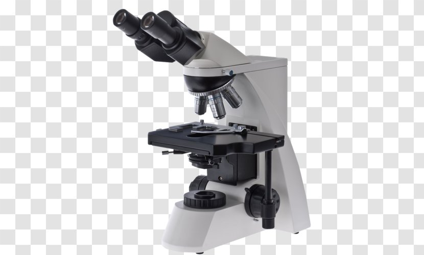 Optical Microscope Optics Phase Contrast Microscopy Light - Nucleolus Transparent PNG