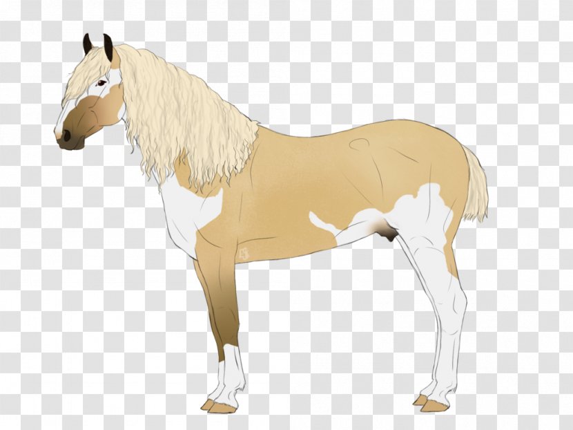 Mustang Foal Stallion Mare Colt - Rein Transparent PNG