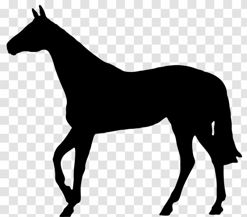 Thoroughbred Pony Silhouette Horse Racing - Monochrome Photography - Horseshoe Transparent PNG