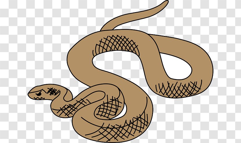 Snakes Reptile Eastern Brown Snake Clip Art Vertebrate - Kingsnake - Happy Cartoon Transparent PNG