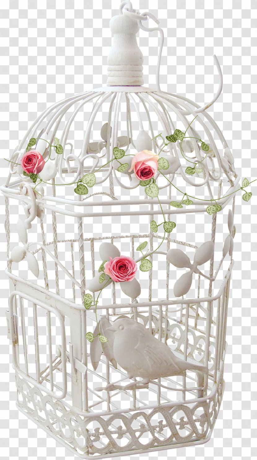 Clip Art - Cage - Birdcage Transparent PNG