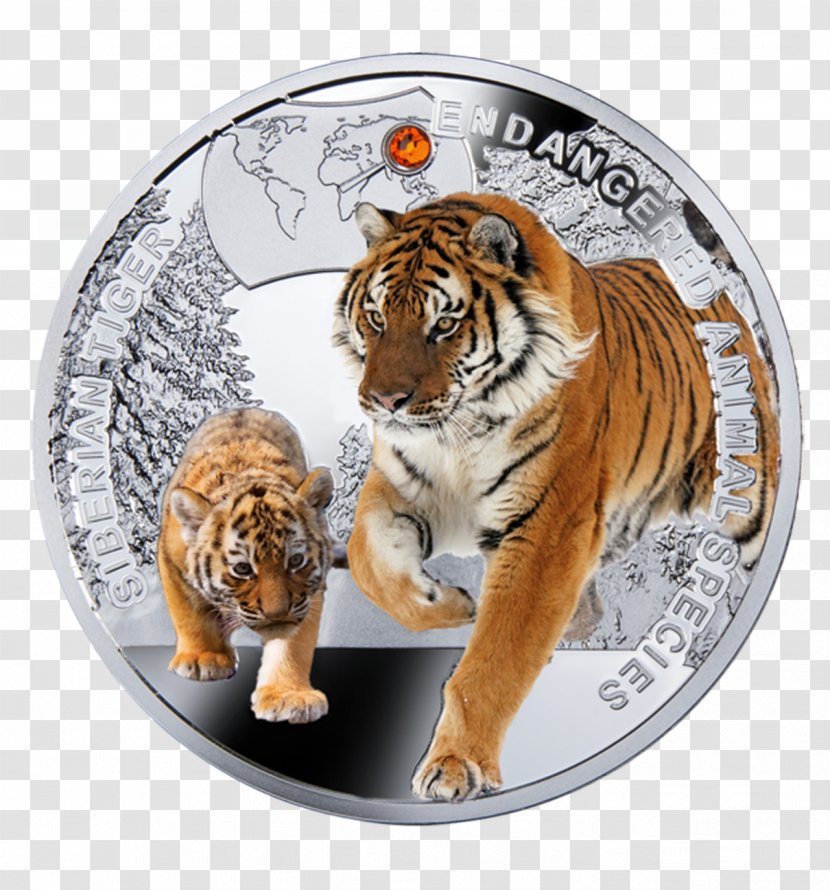 Siberian Tiger Endangered Species Coin Amur Leopard Animal - Mammal Transparent PNG