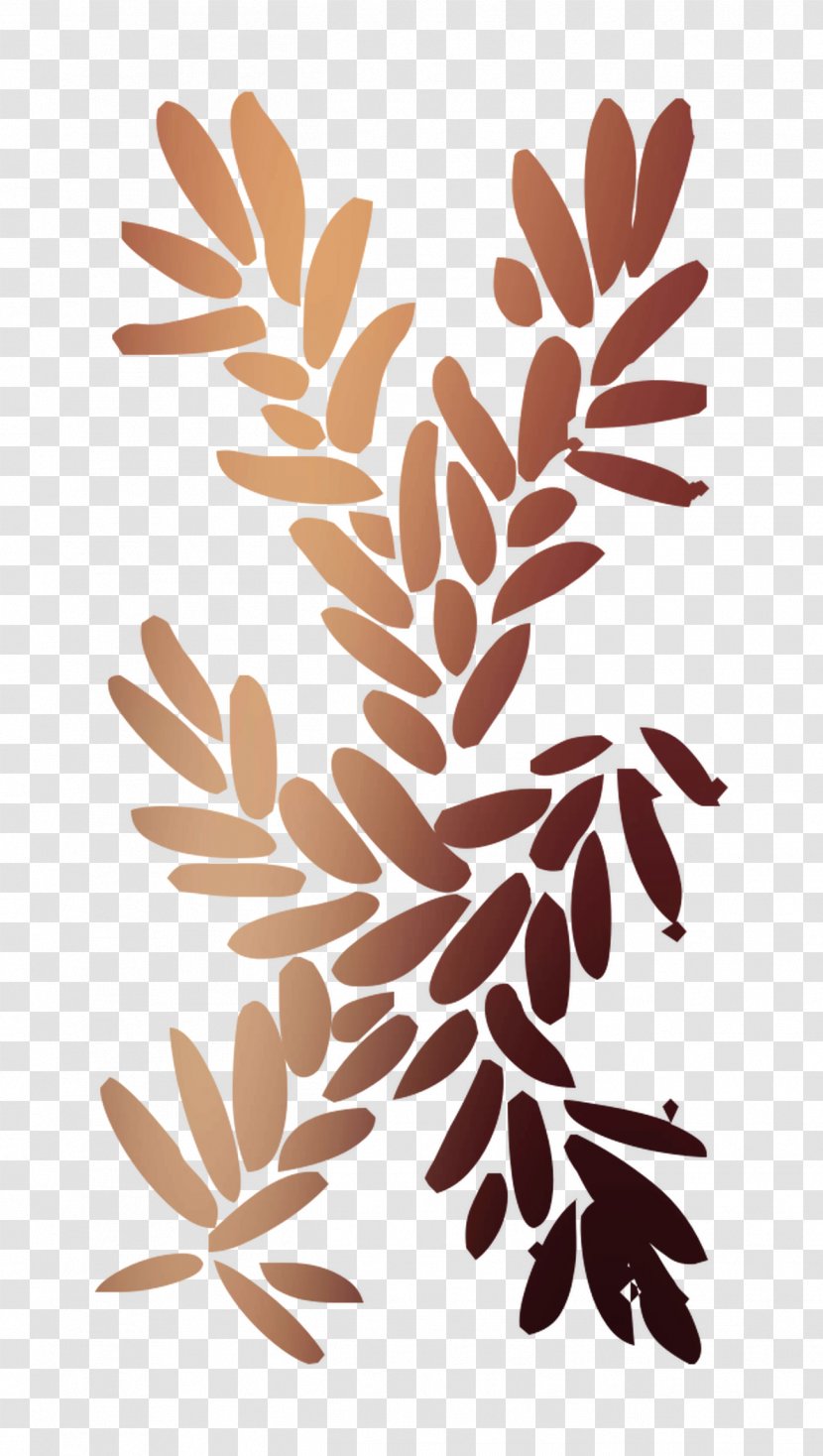Plant Stem Leaf Flower Commodity Font - Branch - Tree Transparent PNG