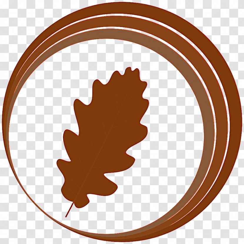 Leaf Brown Tree Clip Art Line - Plant Transparent PNG