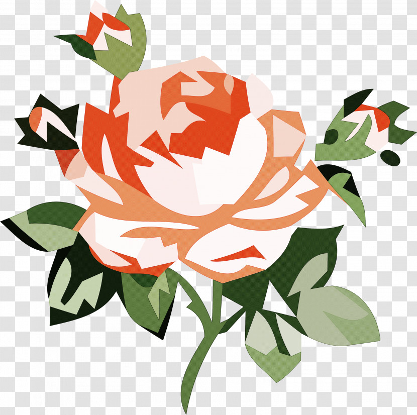 Floral Design Transparent PNG