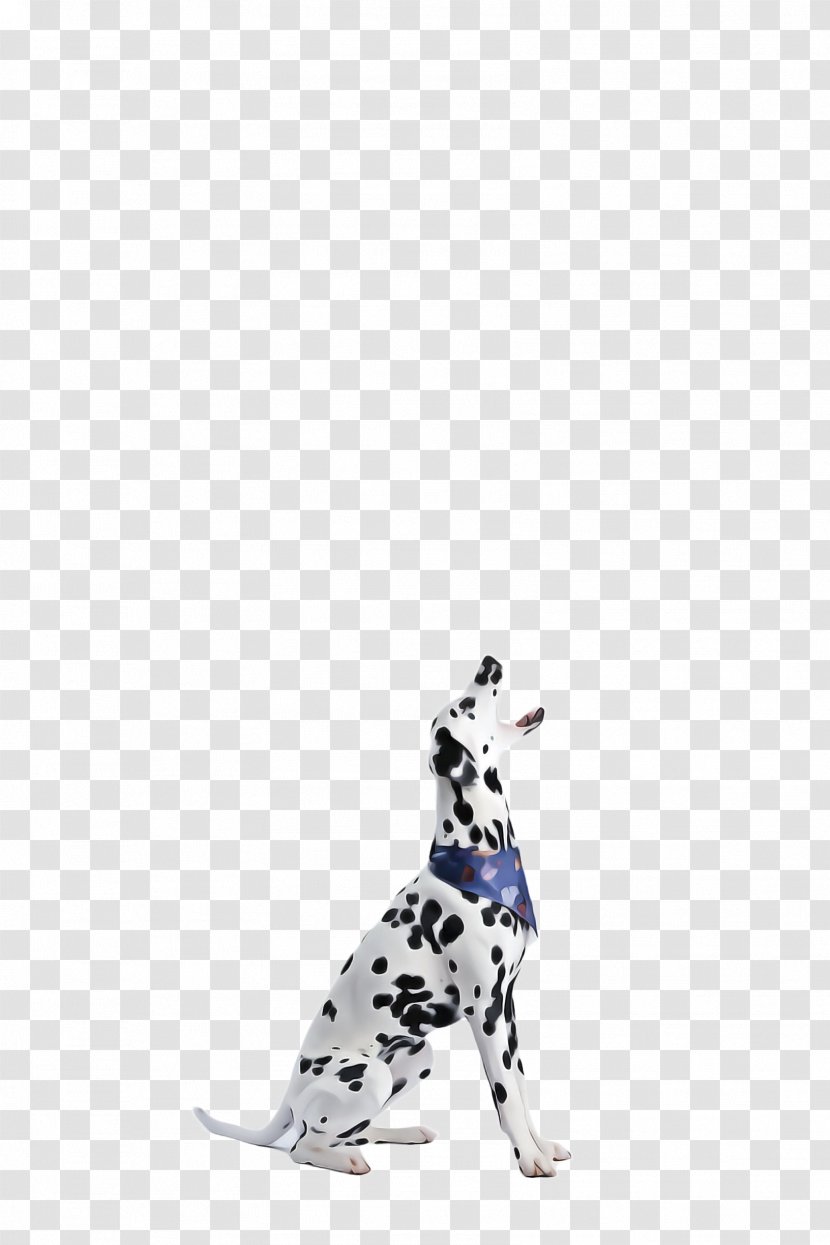 Cute Dog - Animal - Sporting Group Great Dane Transparent PNG