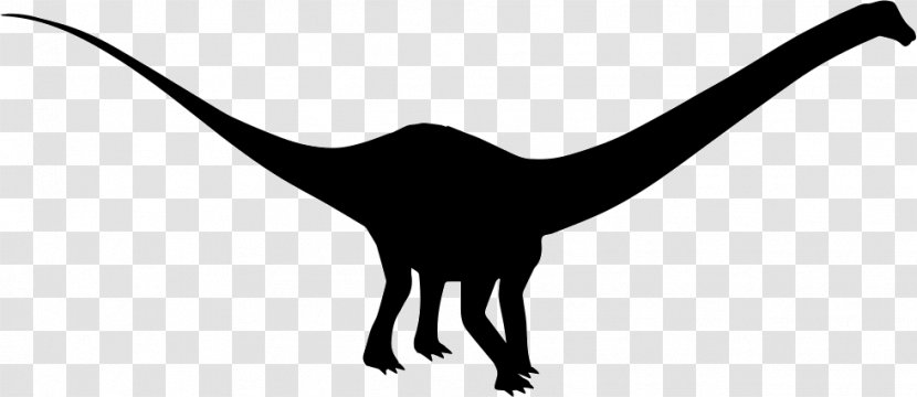 Diplodocus Silhouette Black White Clip Art - And Transparent PNG