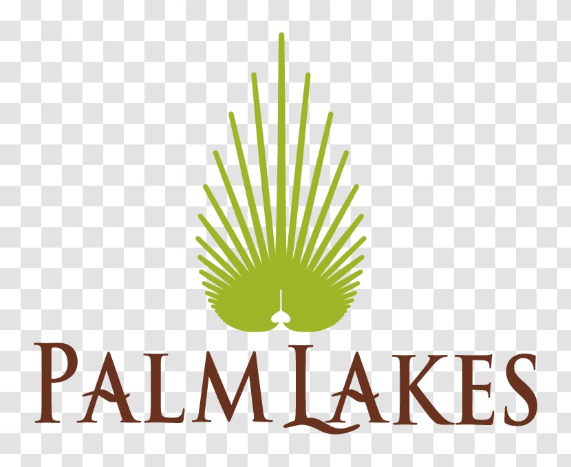 Logo Font Graphic Design Brand Leaf - Text - Grass Family Transparent PNG