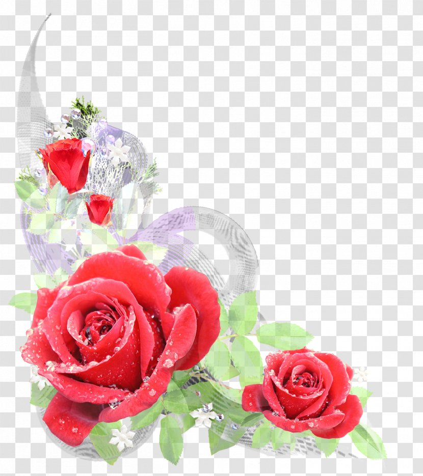 Cut Flowers Floral Design Rose Flower Bouquet - Garden Roses - Flor Transparent PNG