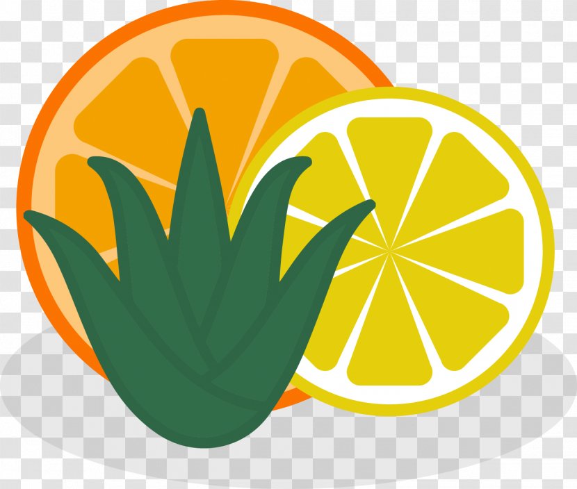 Vector Graphics Patrick Montag Photography Stock Illustration - Yellow - Summer Garden Abstract Citrus Fruit Transparent PNG