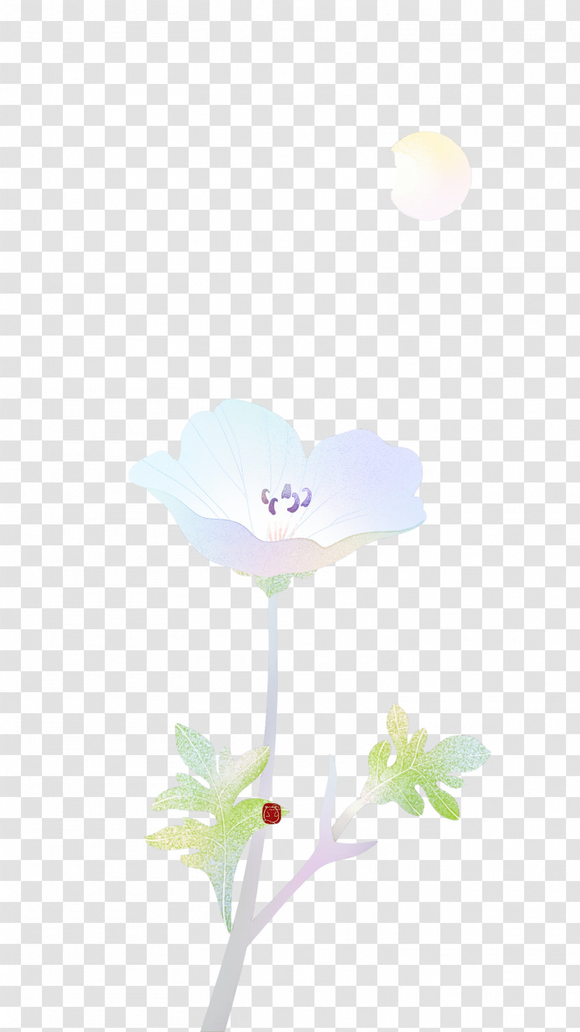 Rose Transparent PNG