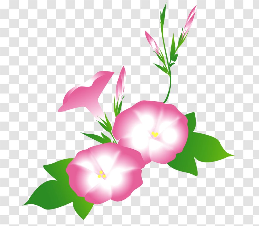 Petal Floral Design Rosaceae Plant Stem - Prints Transparent PNG
