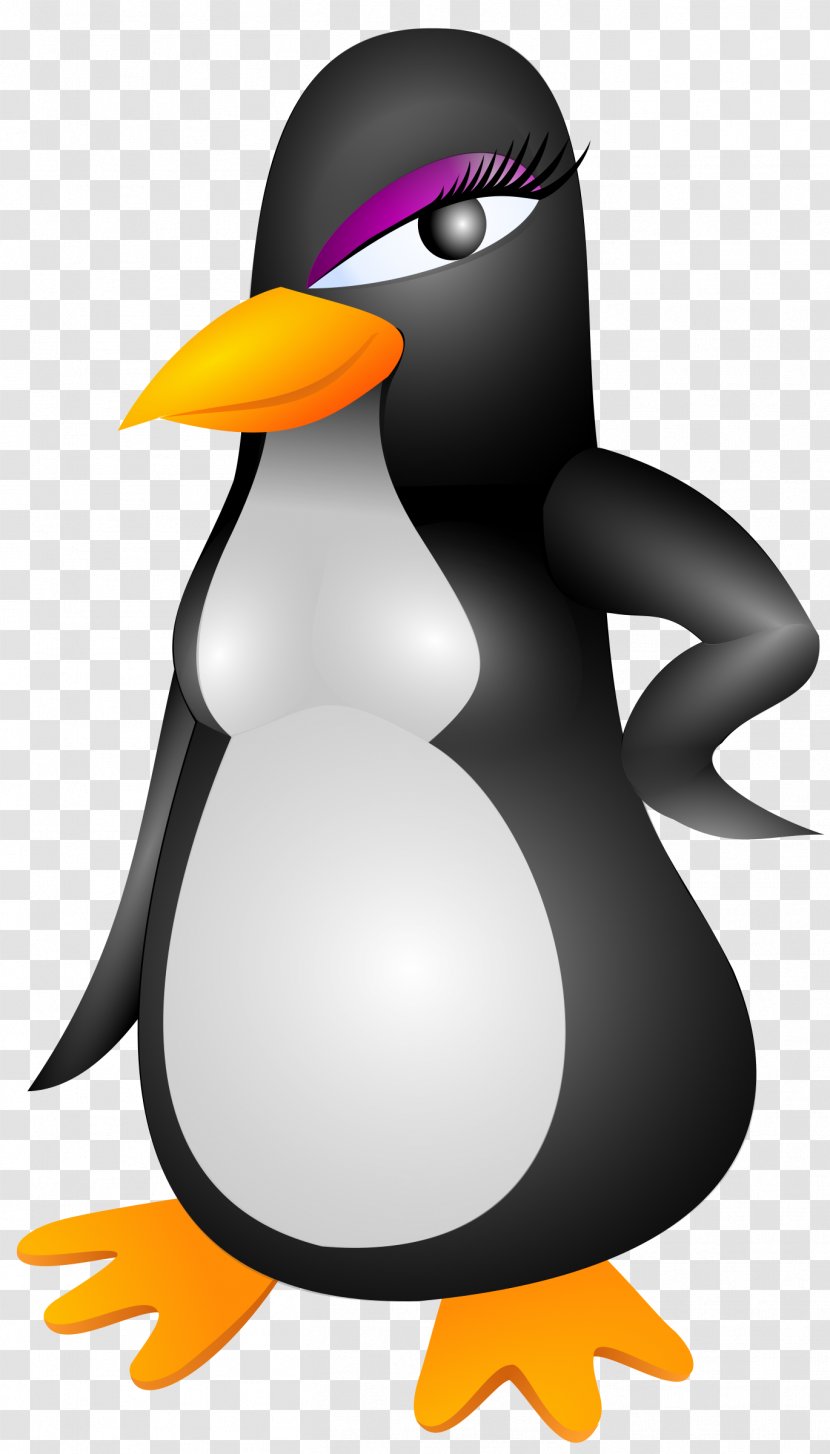 King Penguin Vector Graphics Clip Art Image Transparent PNG