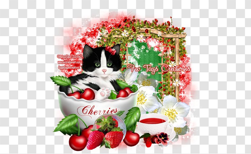 Strawberry Kitten Canvas Melissa Dawn - Cat Transparent PNG