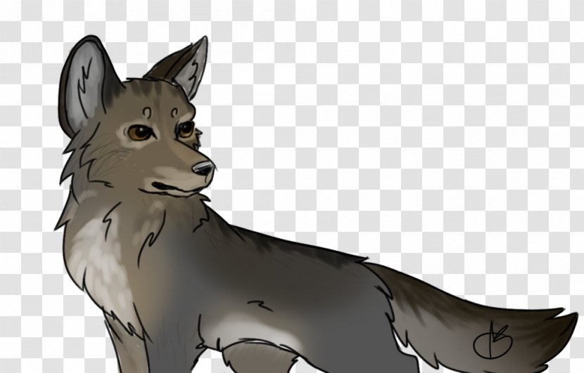 Saarloos Wolfdog Czechoslovakian Dog Breed Coyote Jackal - Tail Transparent PNG