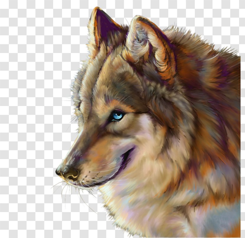 Black Wolf Indian Blingee Arctic - Dog Breed Group - Collie Transparent PNG