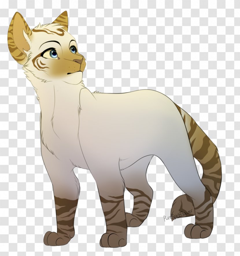 Cat Whiskers Warriors ThunderClan Tiger - Carnivoran Transparent PNG