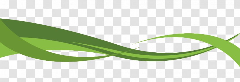 Logo Brand Green Font - Grass - Vector Curve Transparent PNG
