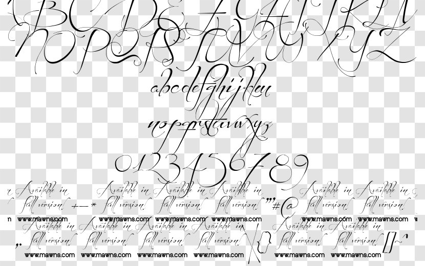 Handwriting Line Art Angle Font - Text Transparent PNG