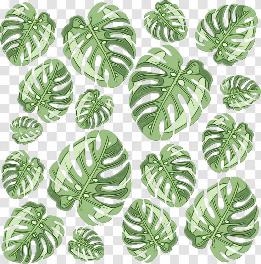 Leaf Tree Pattern Science Plant Structure Transparent PNG