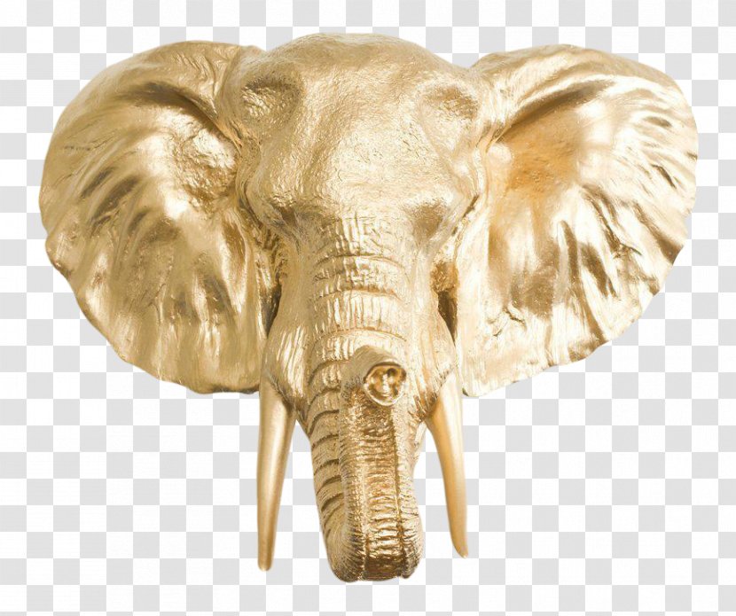 African Elephant Elephantidae Tusk Gold Silver - Parade Transparent PNG