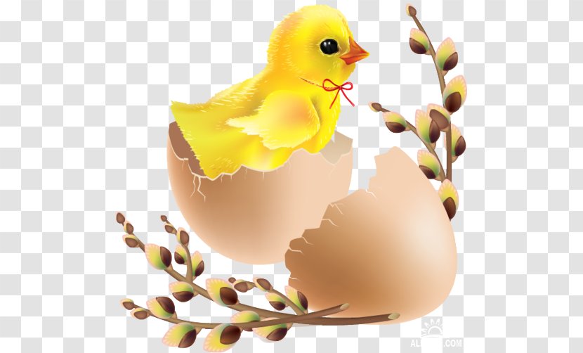 Easter Bunny Chicken Egg Clip Art - Kifaranga Transparent PNG