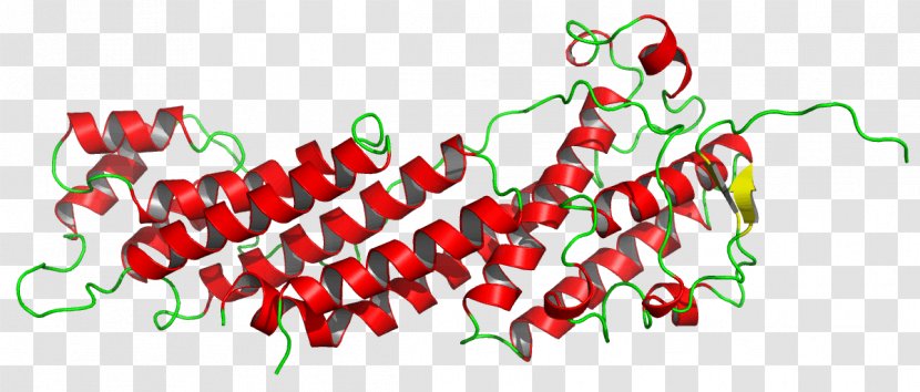 Protein Secondary Structure Prediction Crystallography - Food - Science Transparent PNG