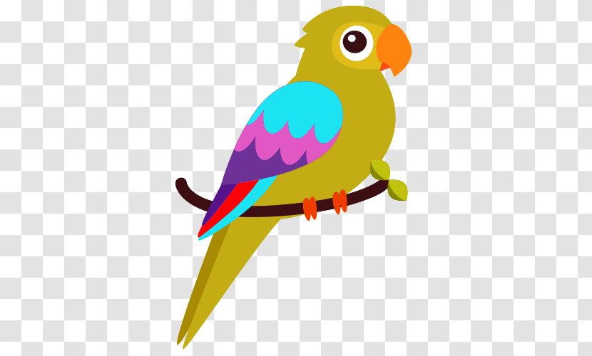 Budgerigar Bird Parrot - Perroquet - Cartoon Transparent PNG