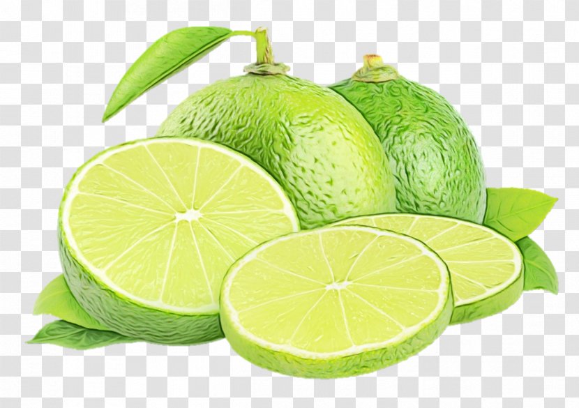 Persian Lime Key Citrus Lemon - Lemonlime - Sweet Plant Transparent PNG