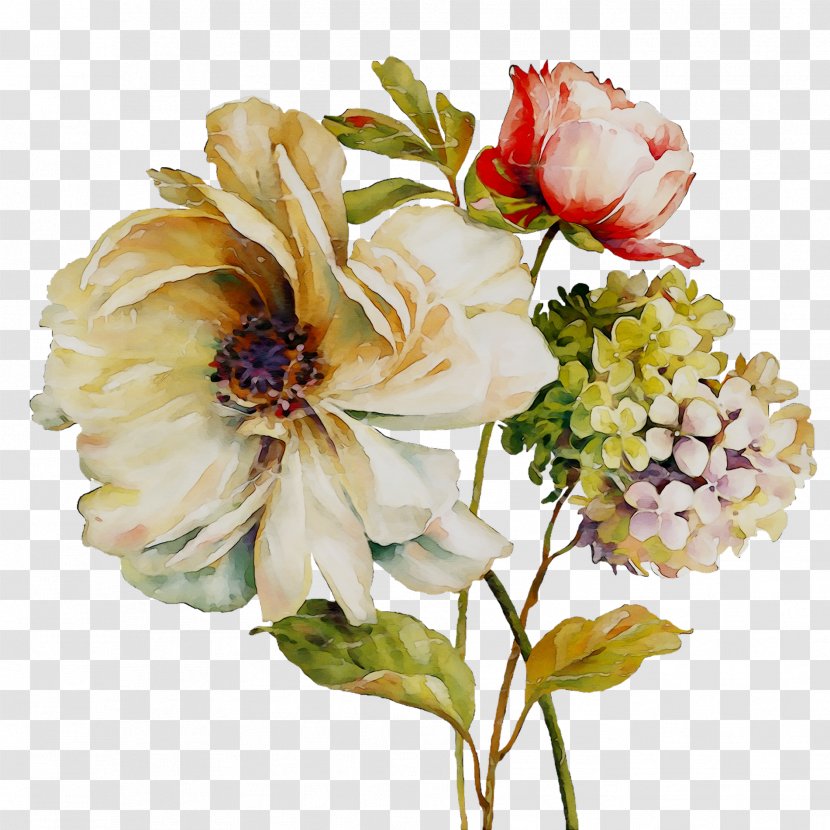 Cut Flowers Cabbage Rose NUOVA R2S Garden Roses - Chinese Peony - Flowering Plant Transparent PNG