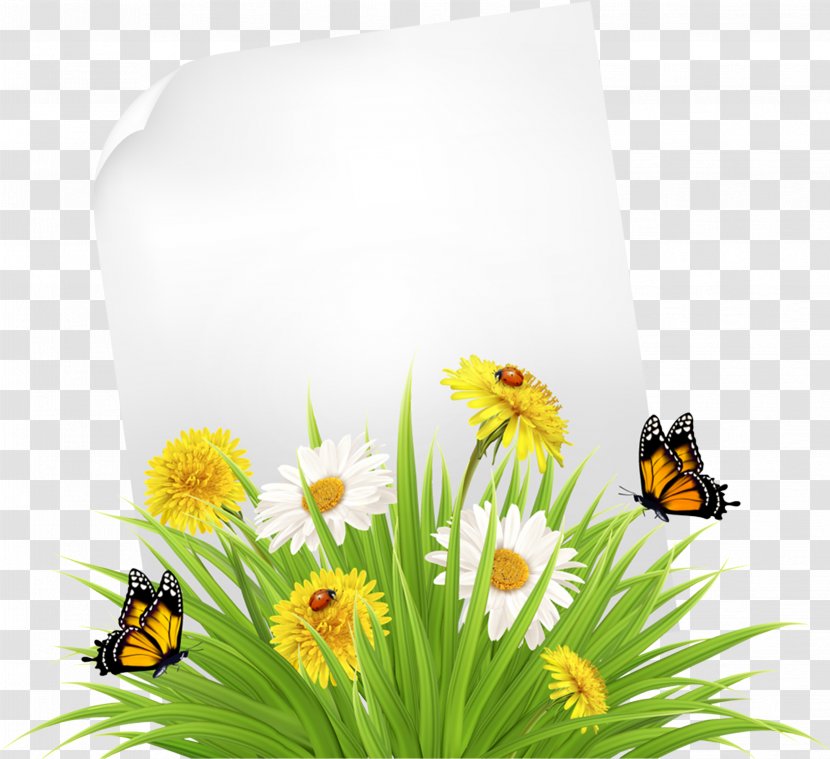 Grass Insect Plant Flower Butterfly - Wildflower Pollinator Transparent PNG