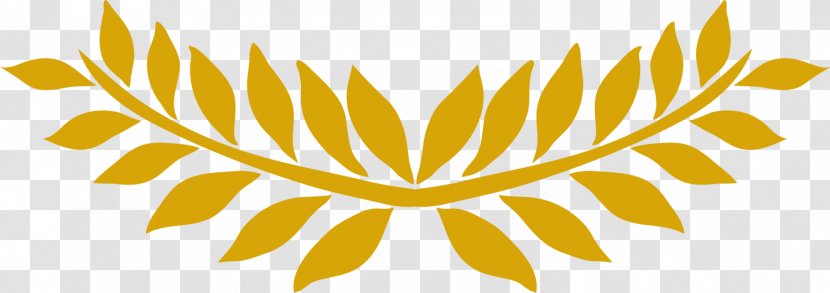 Yellow Rice Plant - Symmetry - Plants Transparent PNG