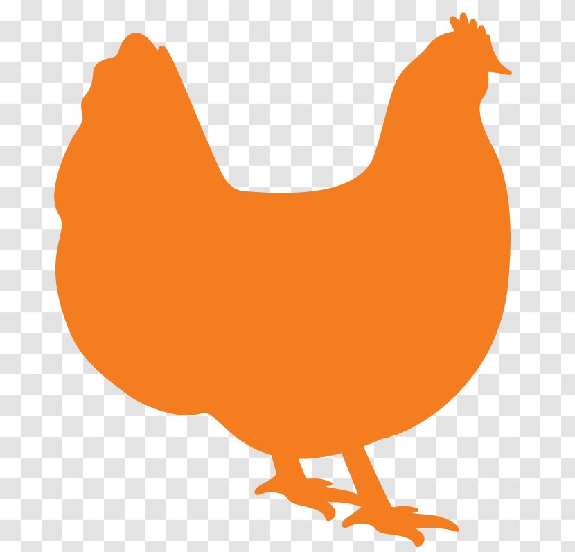 Rooster Orpington Chicken Cornish Broiler Poultry - Animal Figure - Crispy Burger Transparent PNG