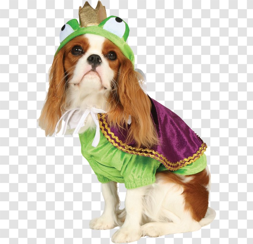 Dog Costume Pet Clothing - Companion - Meng Transparent PNG