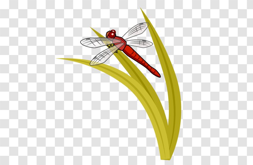 Autumn Leaf Color Clip Art - Pollinator - Dragonfly Transparent PNG