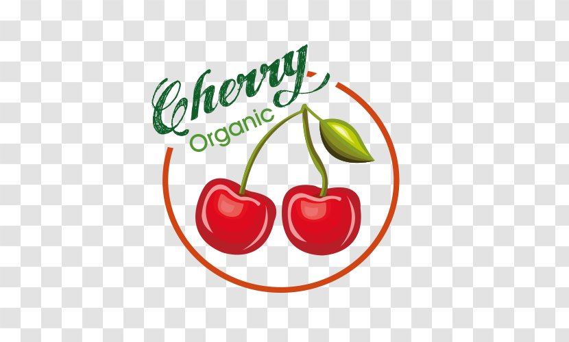 Juice Fruit Download Label - Food - Cherry Transparent PNG
