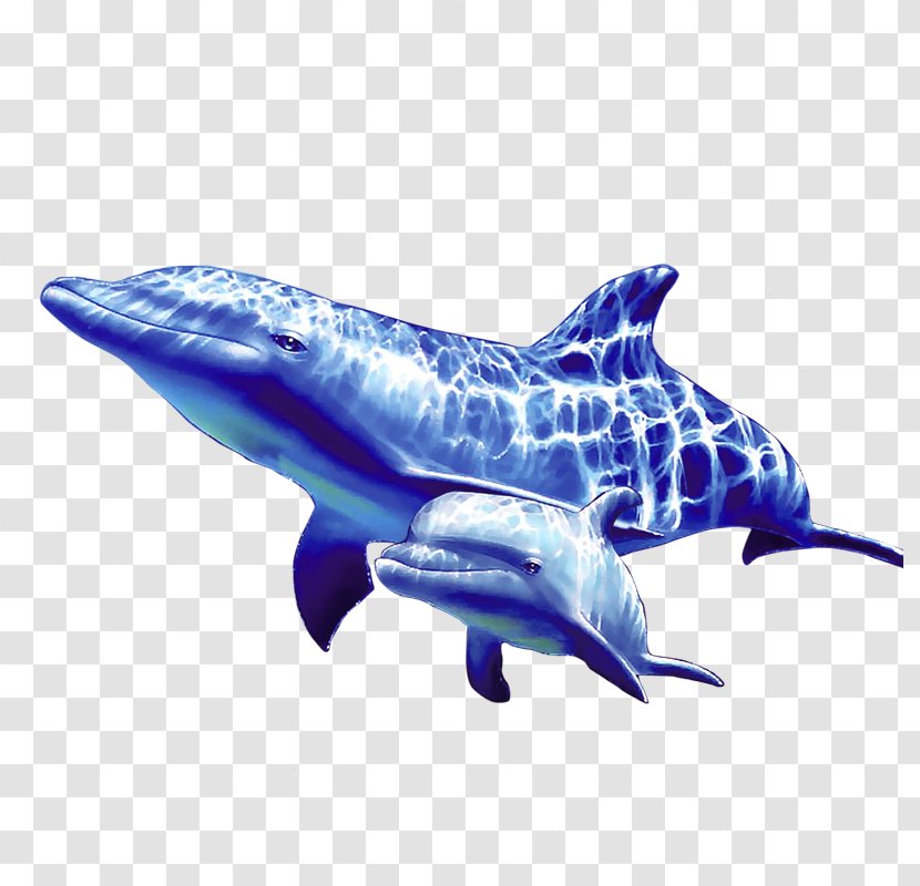 Common Bottlenose Dolphin Whale - Blue Transparent PNG