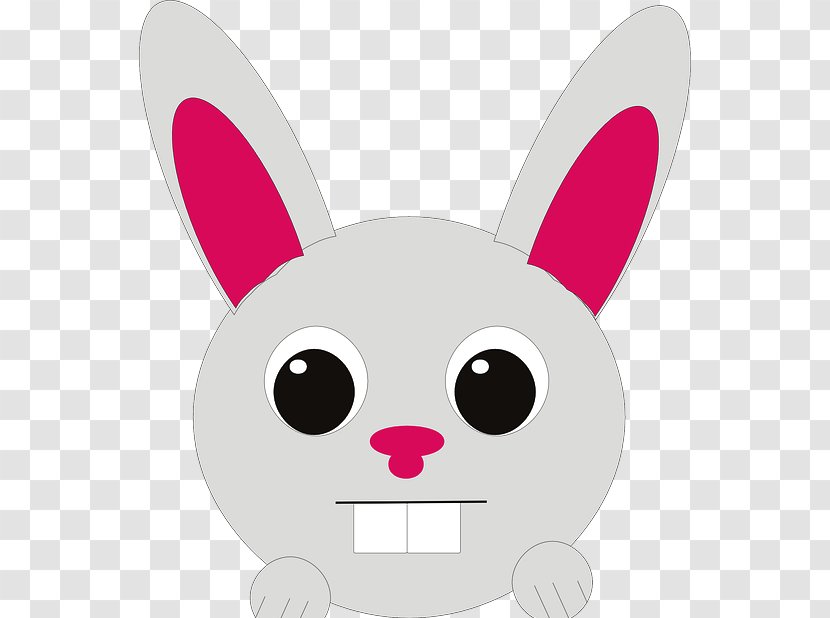 Lionhead Rabbit Easter Bunny Clip Art - Cat - Gambar Binatang Kartun Transparent PNG
