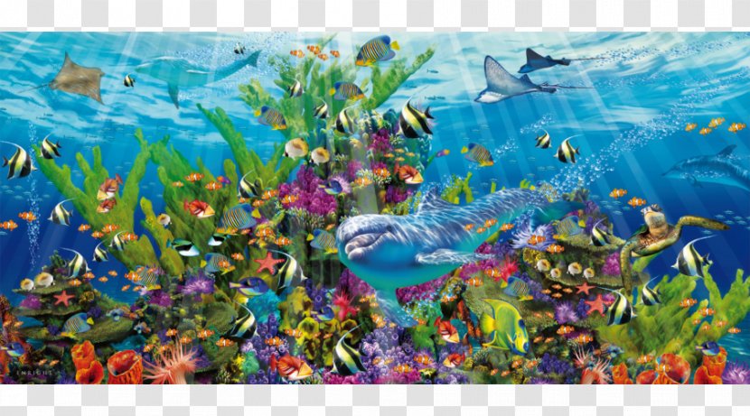 Jigsaw Puzzles Coral Reef Educa Borràs Game - Aquarium - Toy Transparent PNG