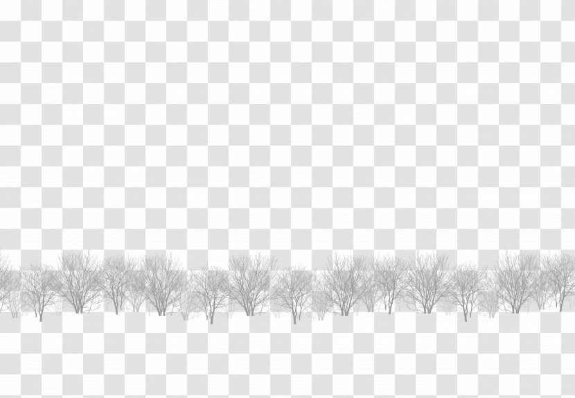 White Black Angle Pattern - Symmetry - The Winter Forest Transparent PNG