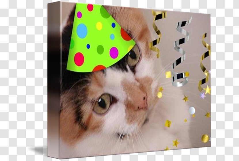 Cat Whiskers Paper Kitten Birthday - Material Transparent PNG