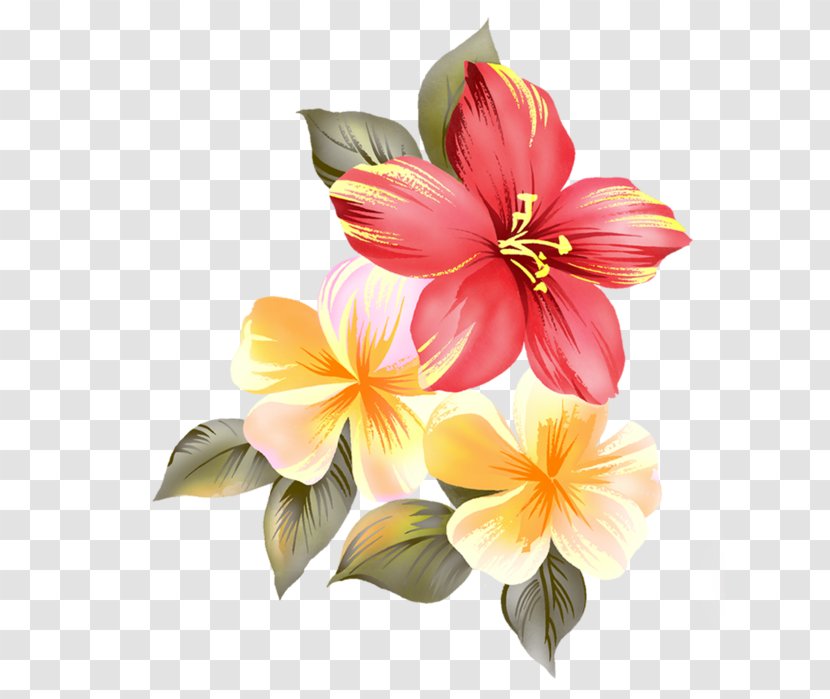 Cut Flowers Floral Design Clip Art - Rosemallows - Flower Transparent PNG