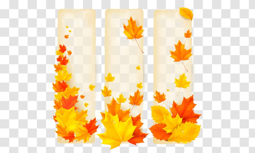 Banner School Autumn Advertising - Textured Maple Leaf Design Elements Transparent PNG