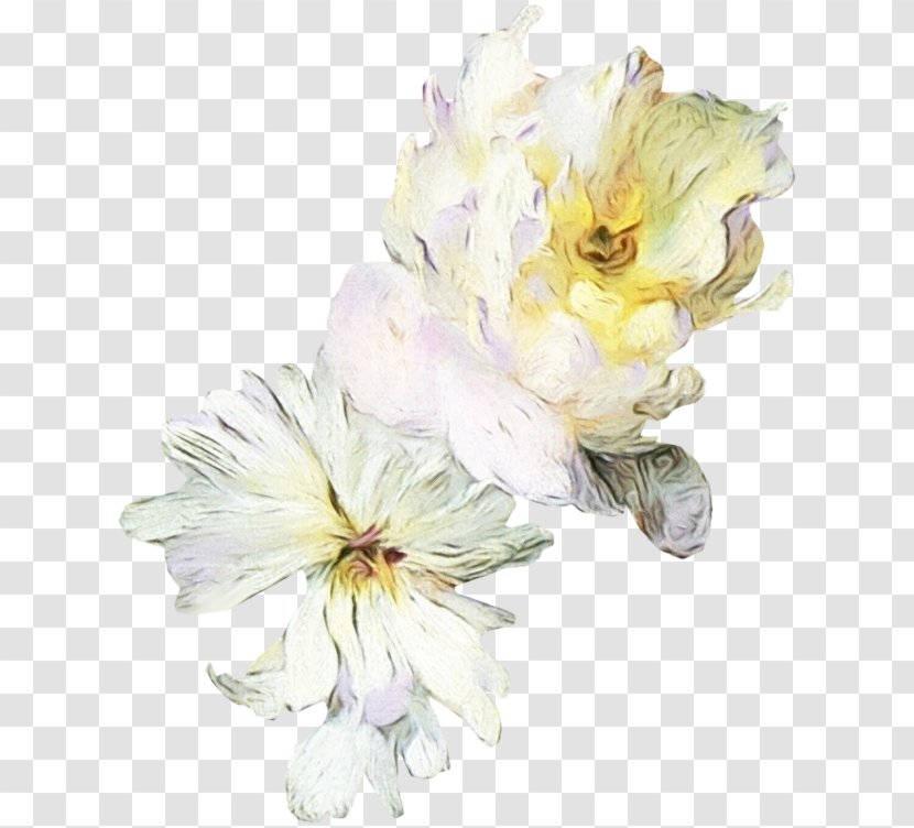 Flower Flowering Plant White Petal - Wet Ink - Chinese Peony Blossom Transparent PNG