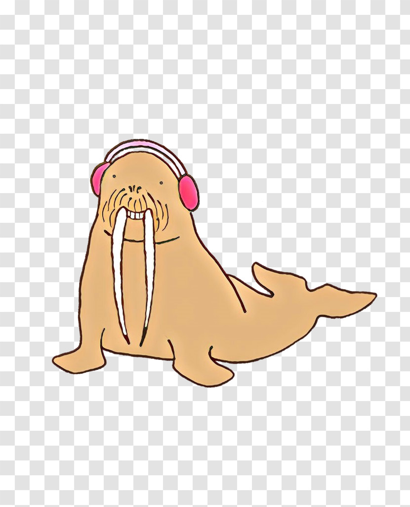 Walrus Cartoon Seal Pink California Sea Lion Transparent PNG