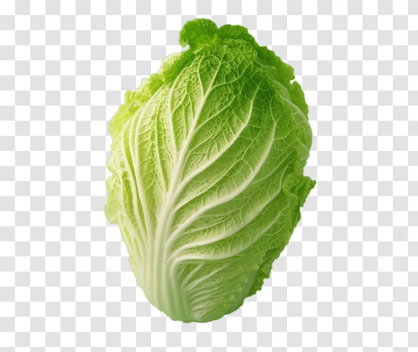 Chinese Cabbage Choy Sum Vegetable - Material Picture Transparent PNG