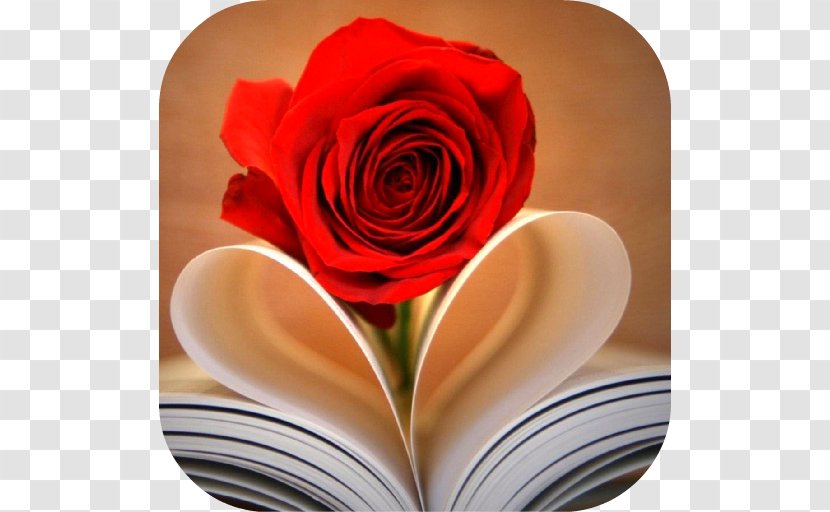 Heart Book Rose Romance Novel - Still Life Photography Transparent PNG