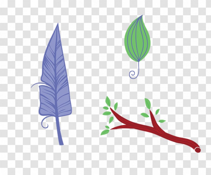 Bird Feather Leaf - Element - Leaves, Twigs Feathers Transparent PNG