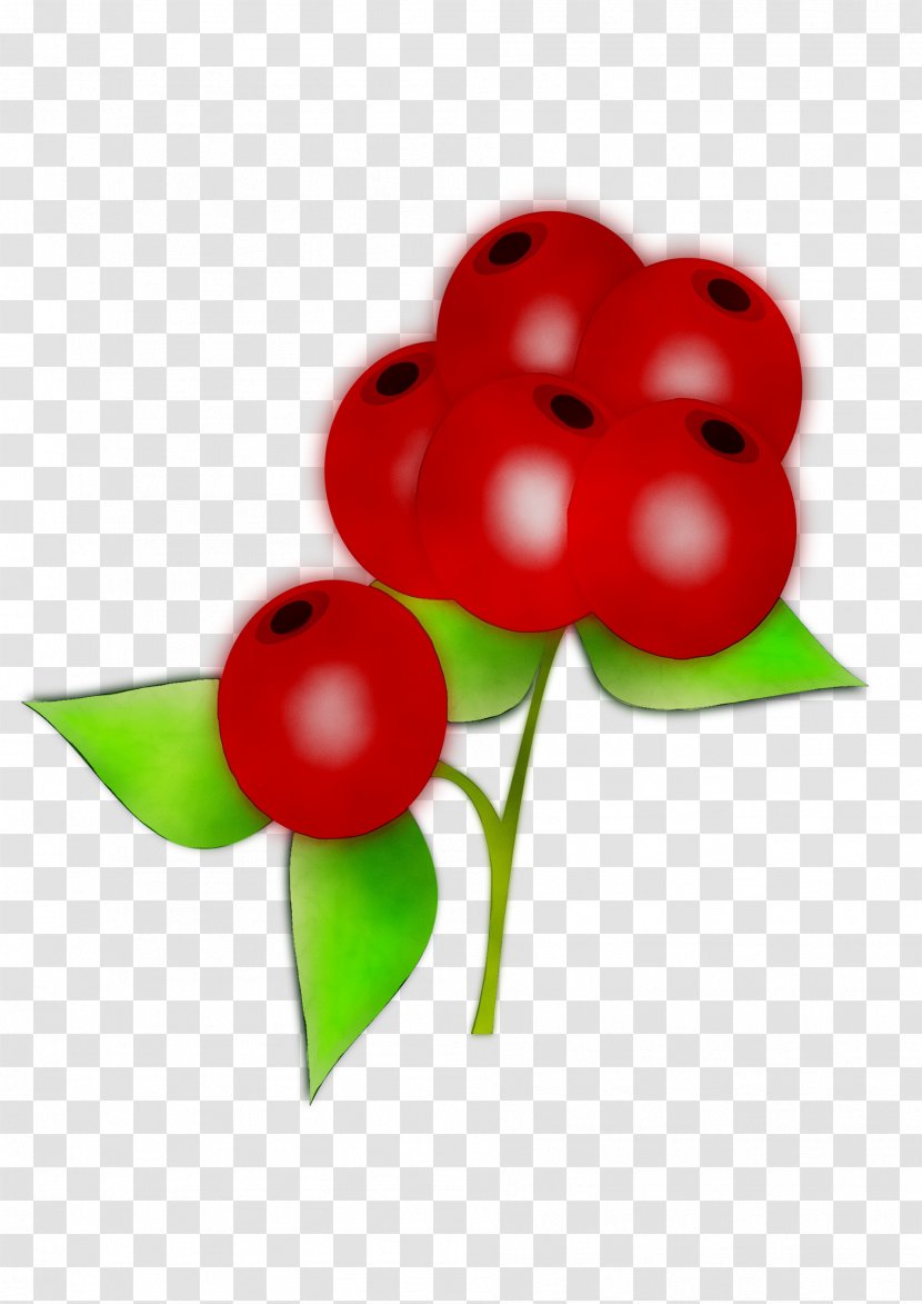 Fruit Flower Balloon RED.M - Berry - Red Transparent PNG