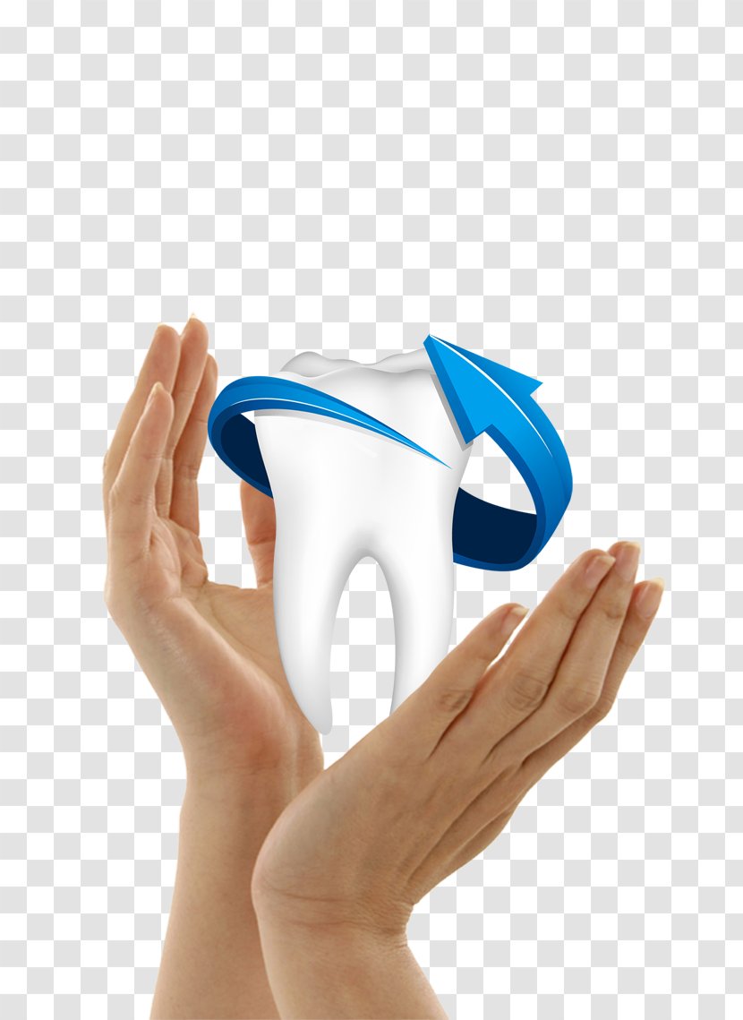 Human Tooth Dentistry - Protect Teeth Transparent PNG